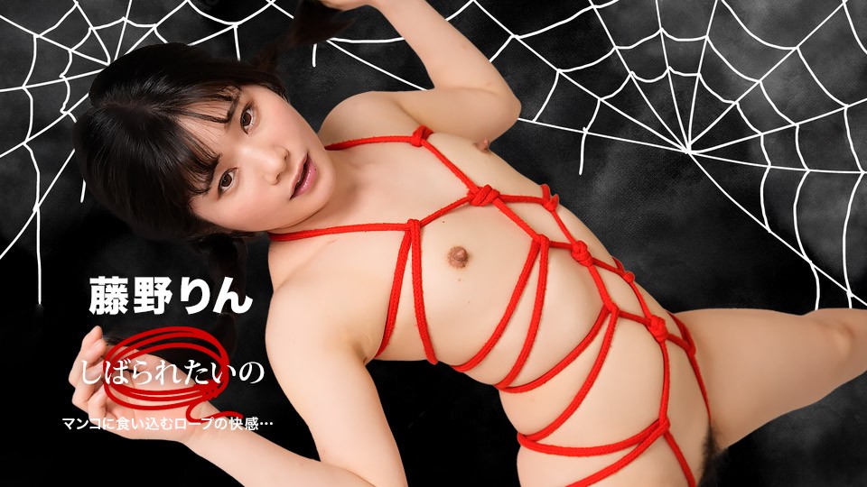 I Want to Be Tied Up ~ The Pleasure of Rope Digging ~ Rin Fujino